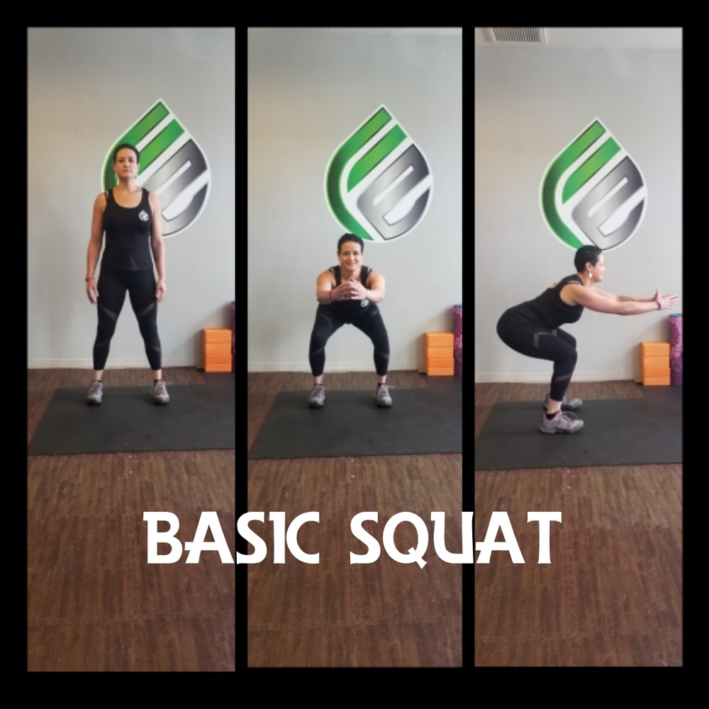 Basic Squat
