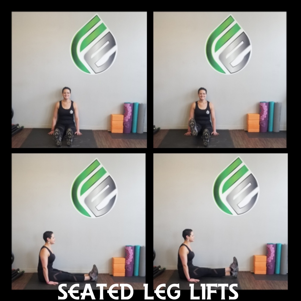Seated Leg Lifts